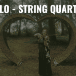 LS_Violin_2 371216