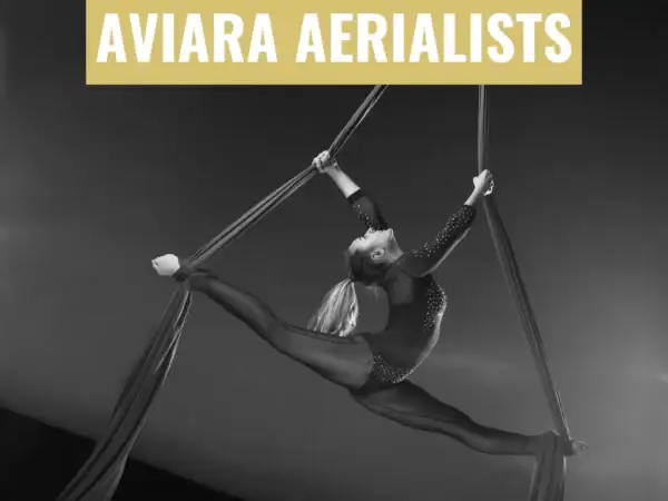Aviara_Aerialists_1 372073